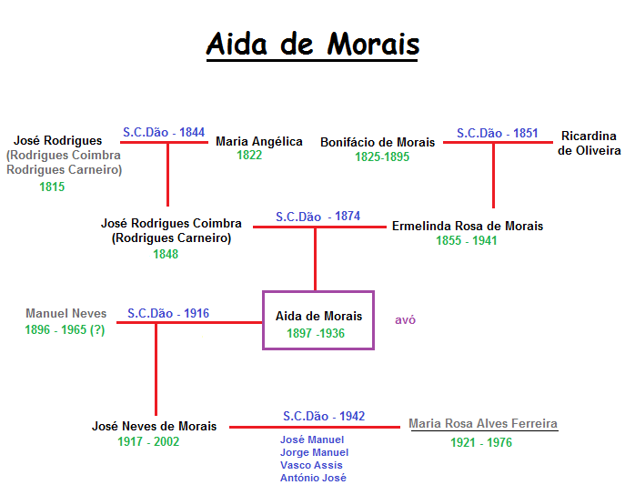 diagrama 6 - aida de morais.png