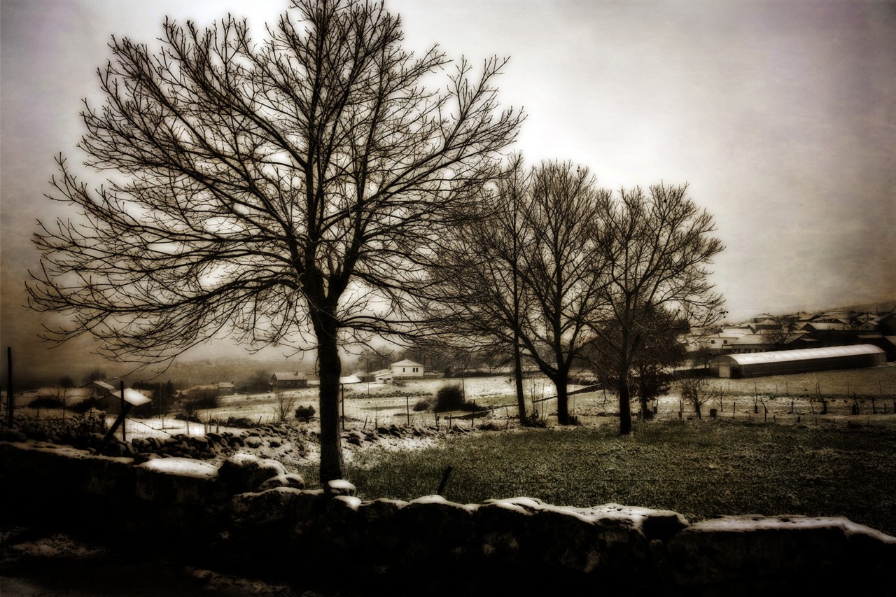 DSCF3401 copy - cópia 2.jpg