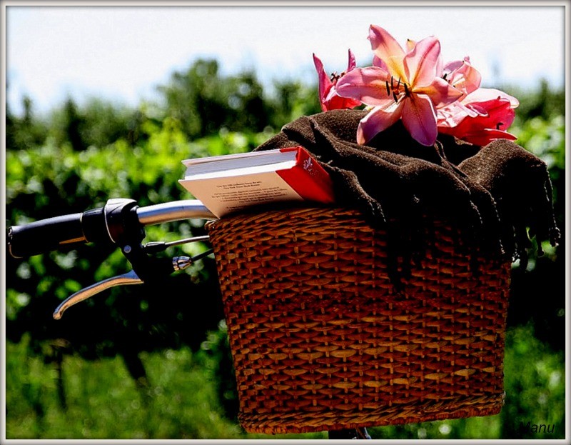 Carina%20013 coisas que gosto.jpg