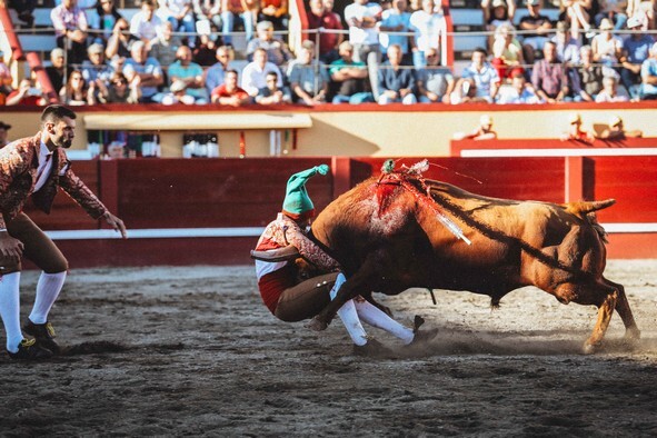 6-Pega de Francisco Matos dos Forcados da TTT.JPG