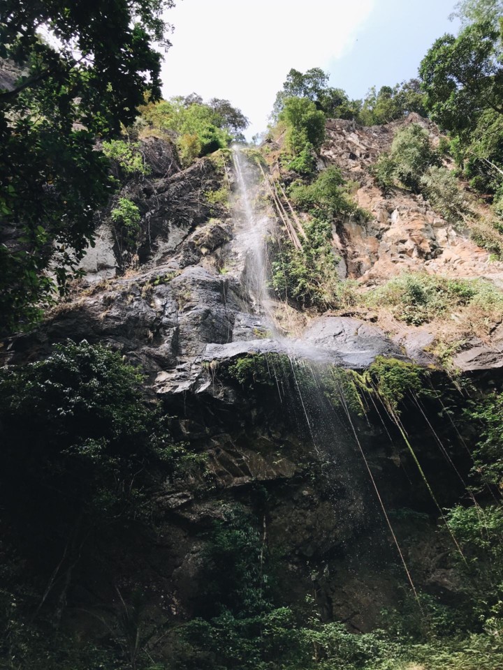 00aab51c-b00f-4d12-bb56-db514fec4ab1.JPG 00aab51c-b00f-4d12-bb56-db514fec4ab1.JPG