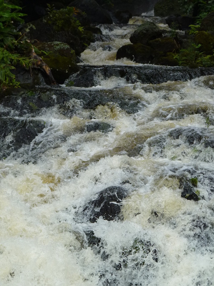 Ribeira do Ferreiro - Ilha das Flores - Açores (2