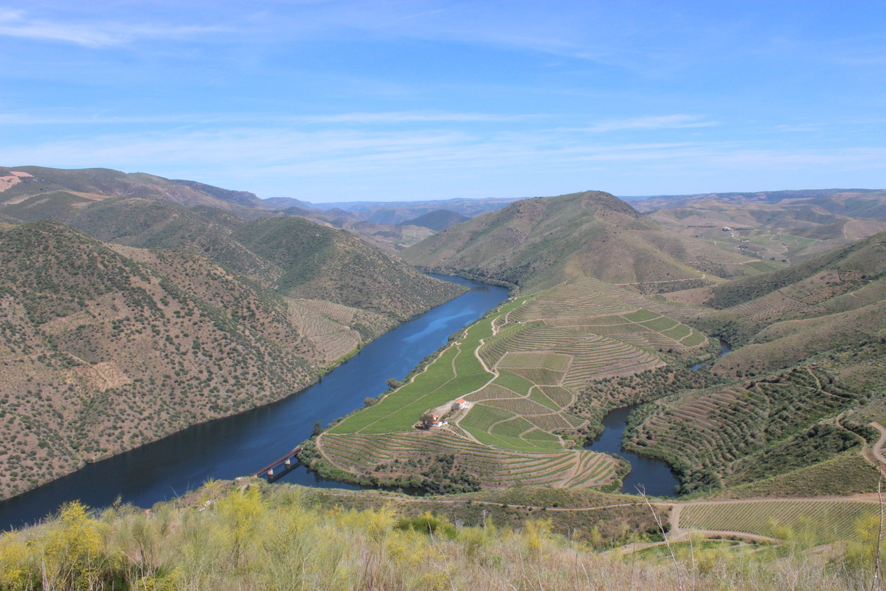 6º Festival do Vinho do Douro Superior - 2017 6º Festival do Vinho do Douro Superior - 2017
