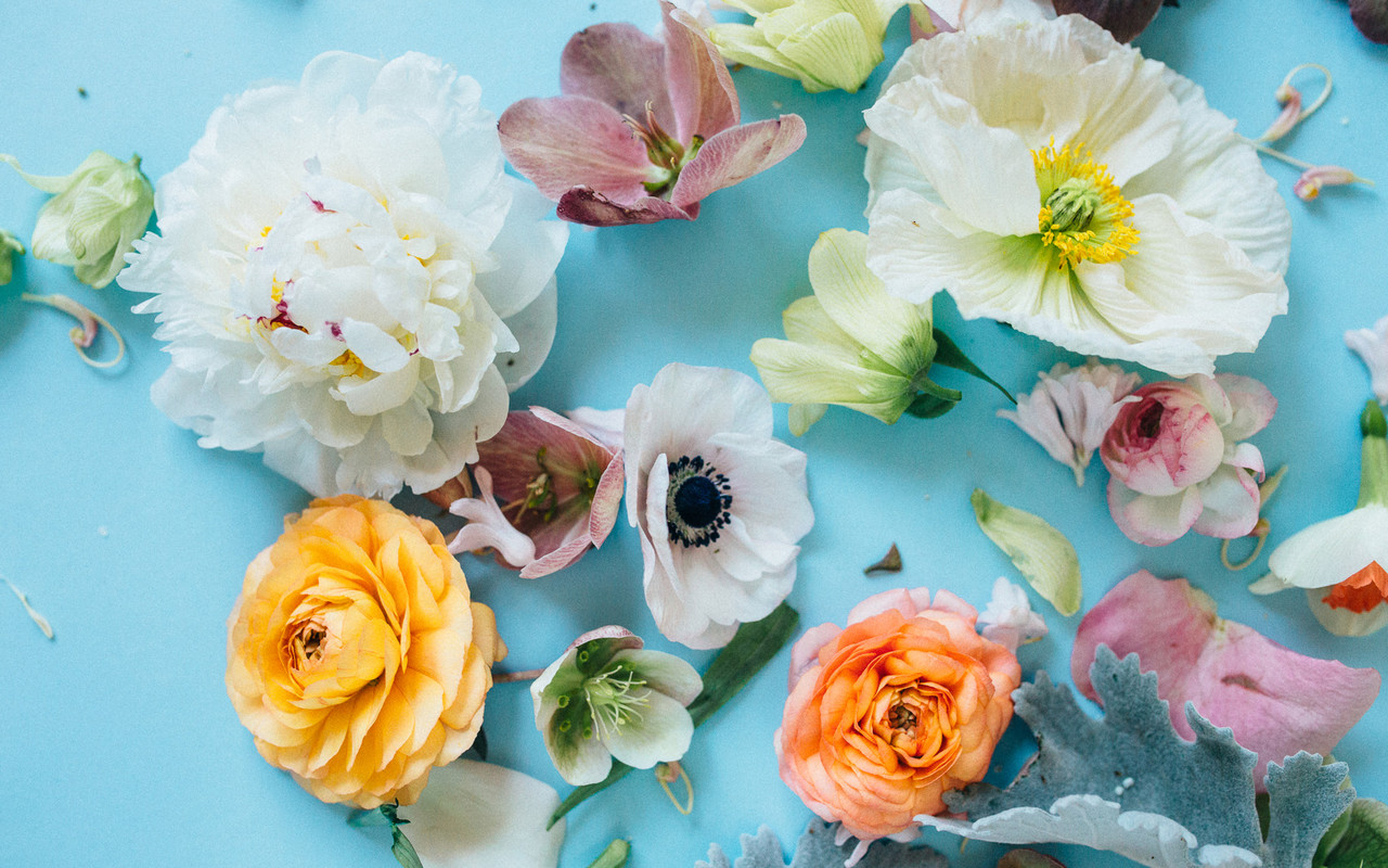 download04.php.jpe download04.php.jpe