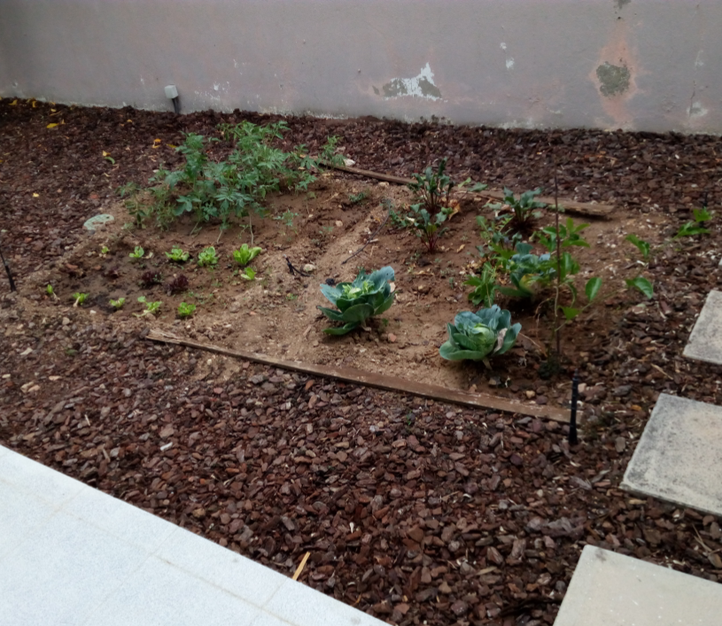 PE_20170628_072006.png PE_20170628_072006.png