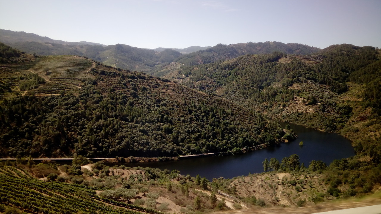 IMG_20170701_103011.jpg IMG_20170701_103011.jpg