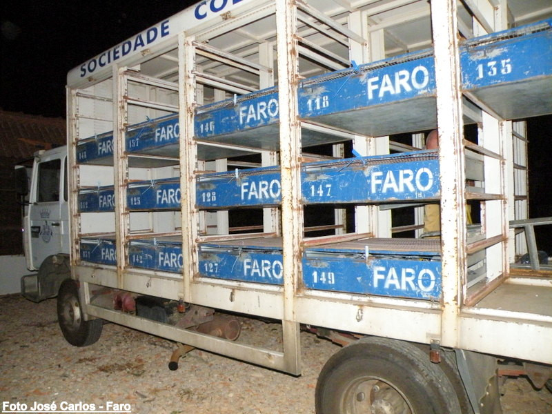 Derby Faro 2016 021.JPG