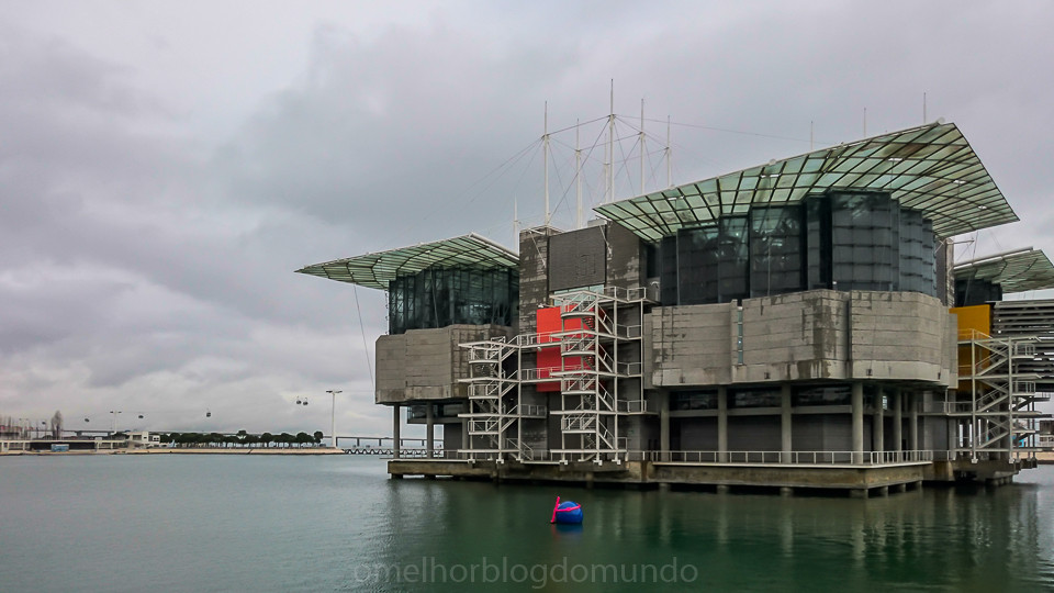 DSC_0196.jpg DSC_0196.jpg