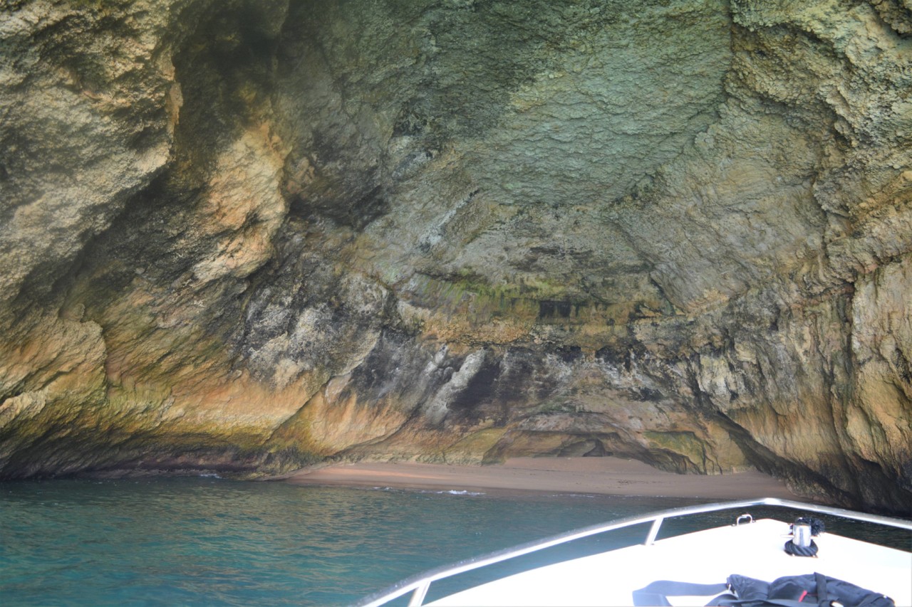 36355613_10210109665492925_3382539006209163264_n.j