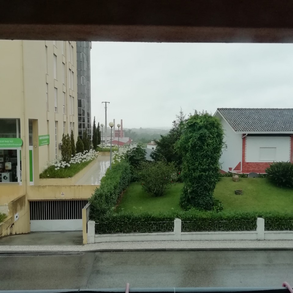 IMG_20190727_065817.jpg IMG_20190727_065817.jpg