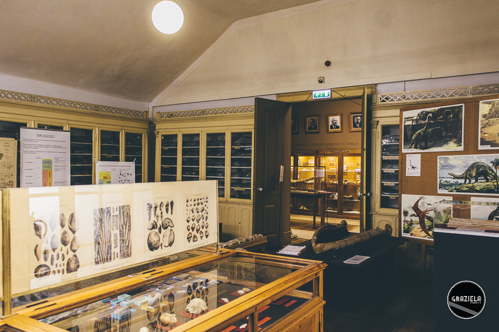 Museu_Geologico_de_Lisboa-016996.jpg