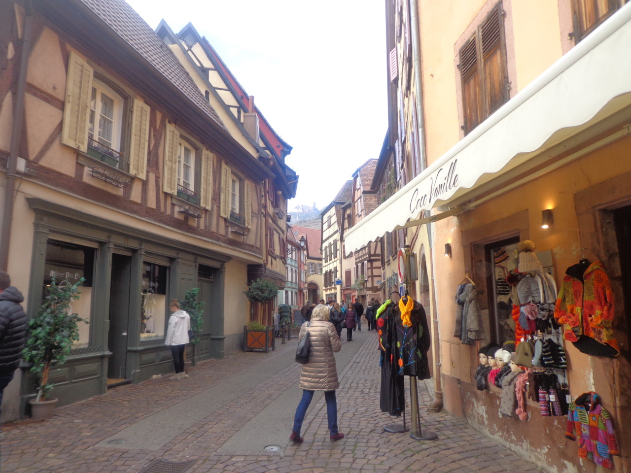 DSC06538.JPG DSC06538.JPG