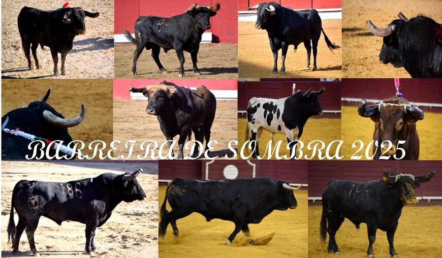 ANÁLISE GANADARIAS.jpg