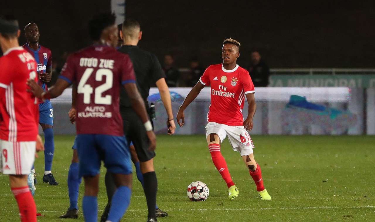 72606389_10162472986485716_5533678148119429120_o.j