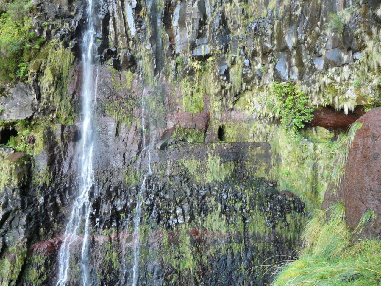 25 Fontes (4).jpg 25 Fontes (4).jpg