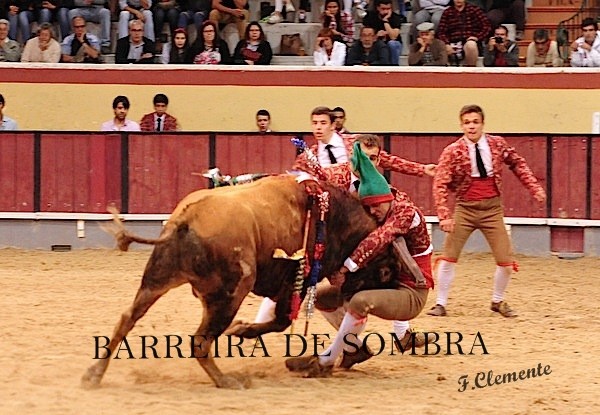 barreira de sombra24-24-42-DSC_9842.JPG barreira de sombra24-24-42-DSC_9842.JPG