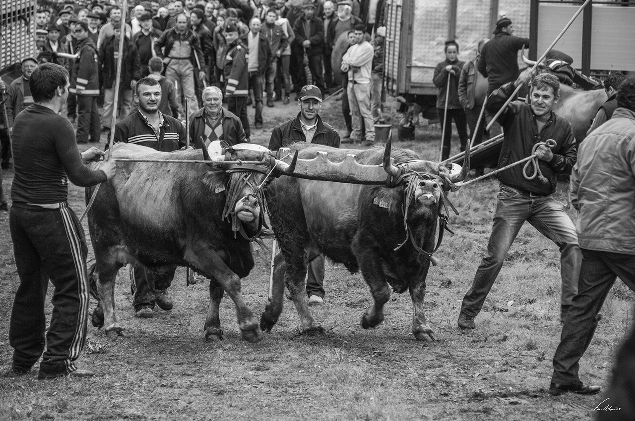 1600-santos-15 (328).jpg