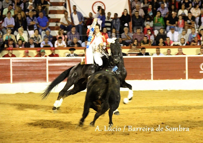 IMG_7006.JPG IMG_7006.JPG