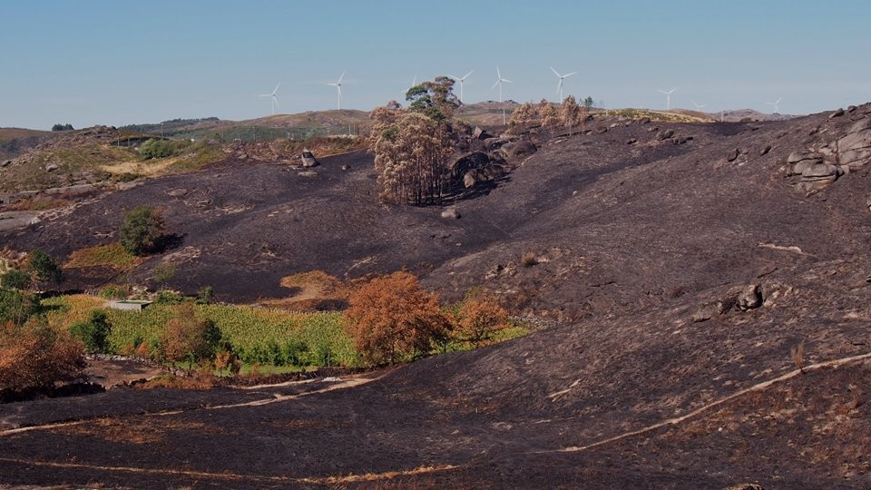 21270803_1786165808063504_3045437556459894467_n.jp