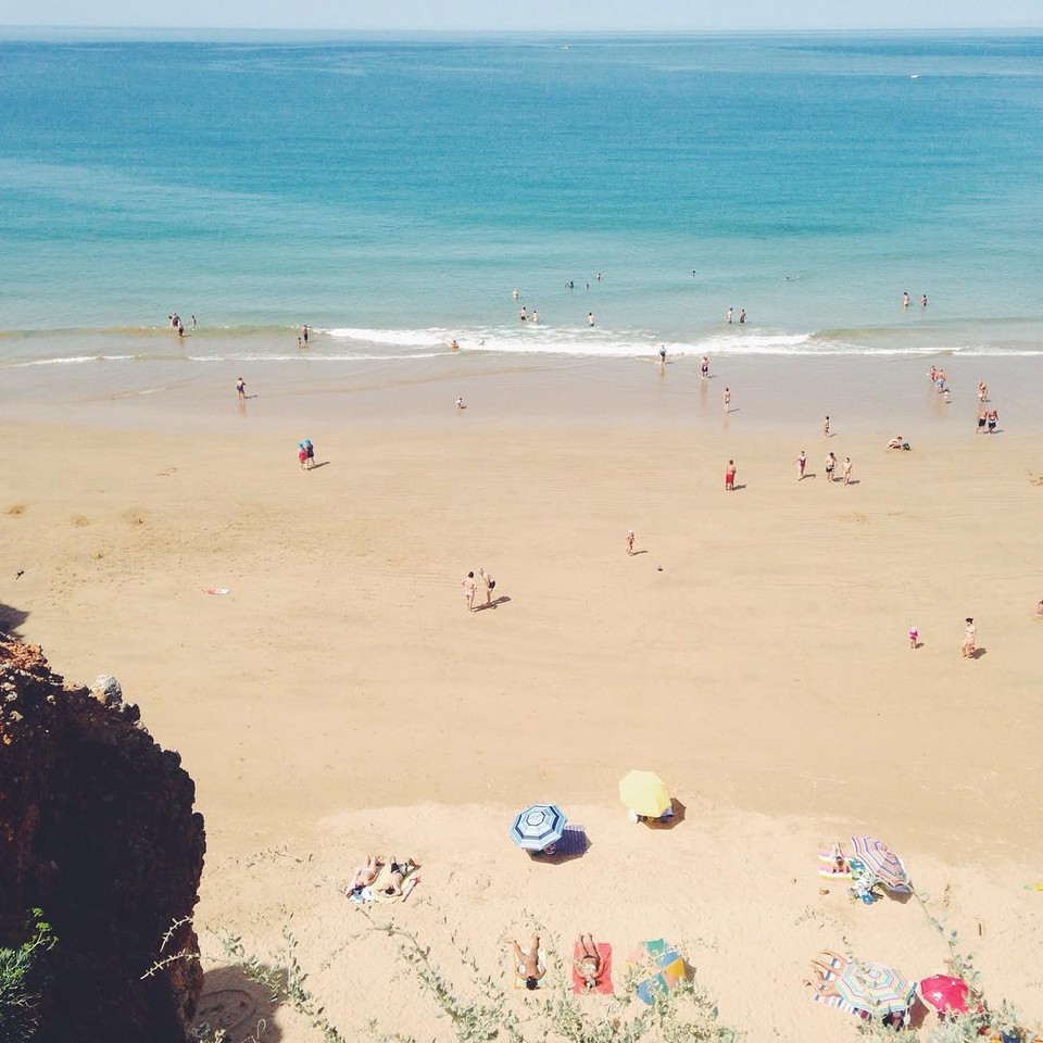 11709669_10207478445989109_324145948669742699_o.jp