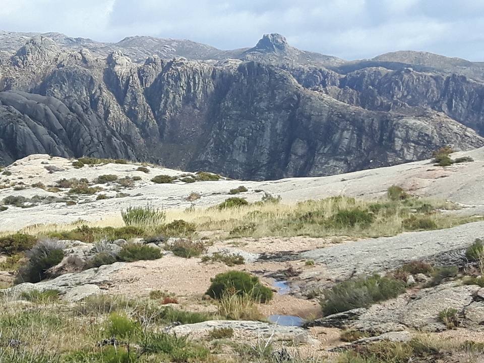 22552360_1581203995272492_9101008895944259191_n.jp 22552360_1581203995272492_9101008895944259191_n.jp