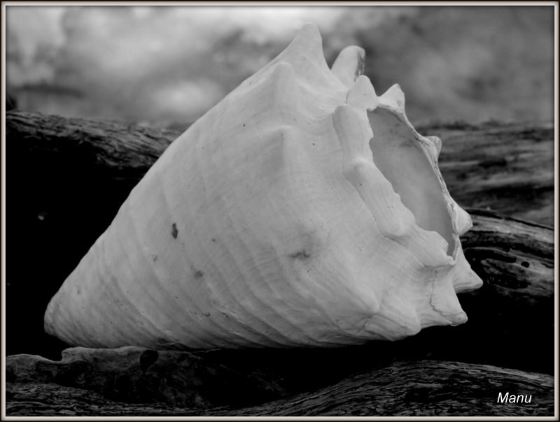 IMG_1194.JPG IMG_1194.JPG