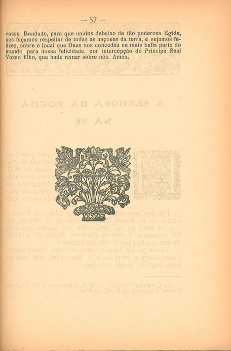 FL_0060_branca_t0.jpg FL_0060_branca_t0.jpg