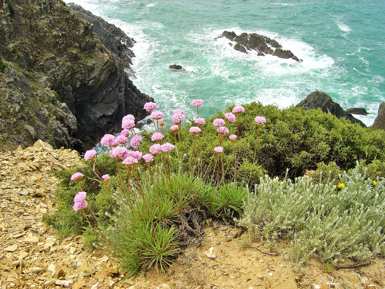 Costa Vicentina_.jpg