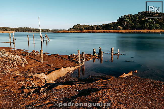 Out_2021_024c 650px.jpg