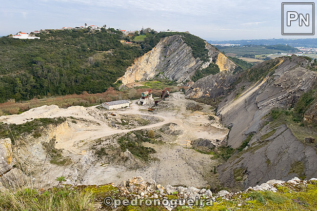 Jan_2025_003 650px.jpg