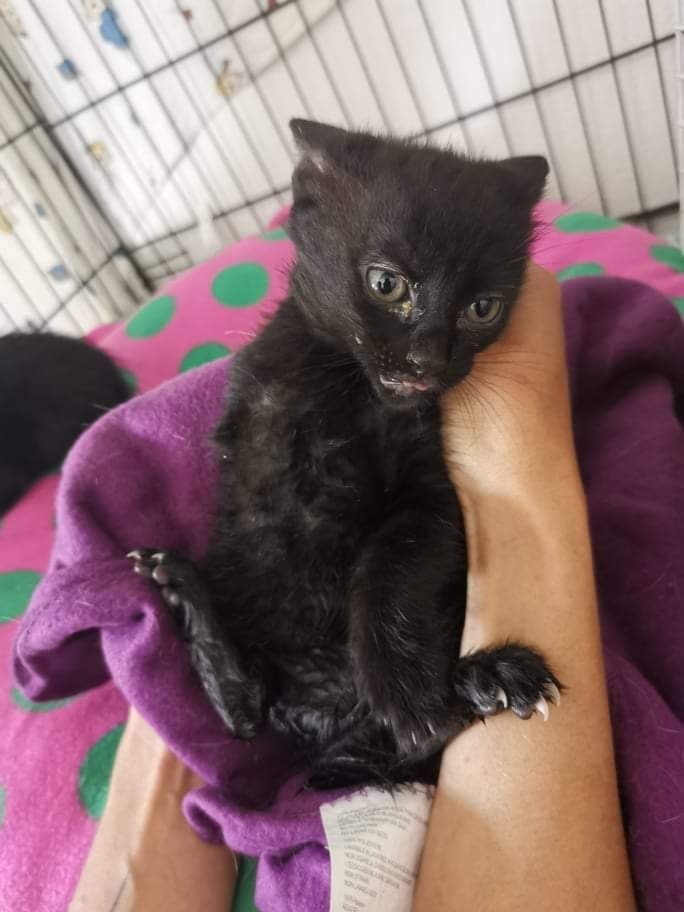 175012803_4149221108443270_3366022076507846325_n.j 175012803_4149221108443270_3366022076507846325_n.j