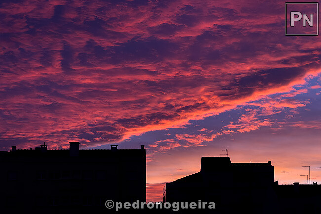 Dez_2025_010 650px.jpg