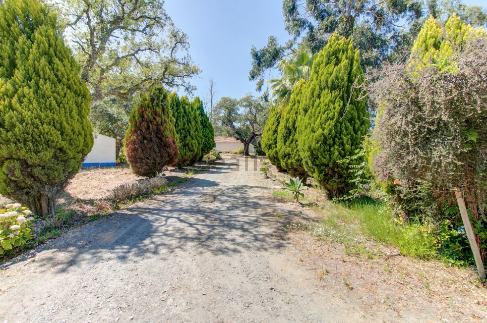 Captura de ecrã 2020-01-14, às 12.47.46.png Captura de ecrã 2020-01-14, às 12.47.46.png