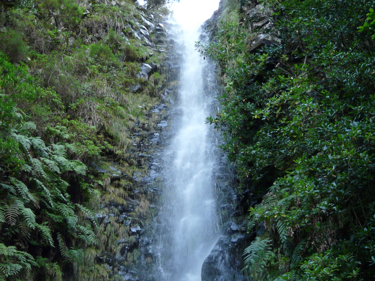 25 Fontes (13).jpg 25 Fontes (13).jpg