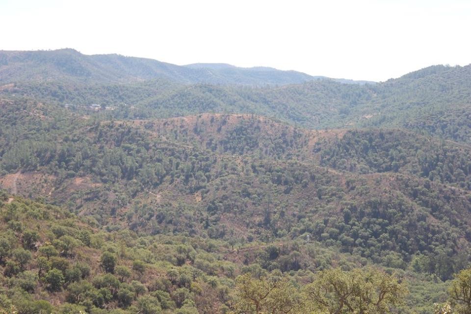 UTRP 2.jpg UTRP 2.jpg