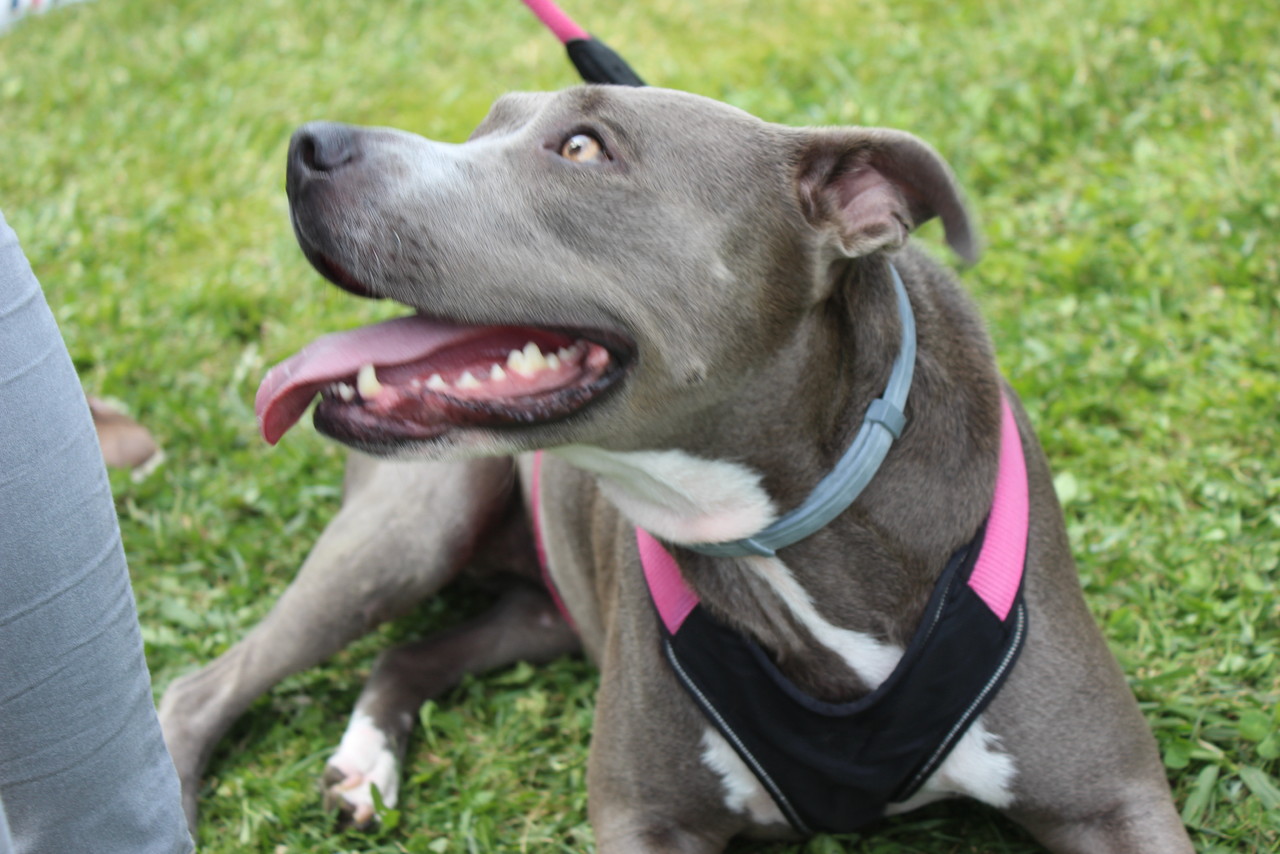 a prima do Ginjas.JPG