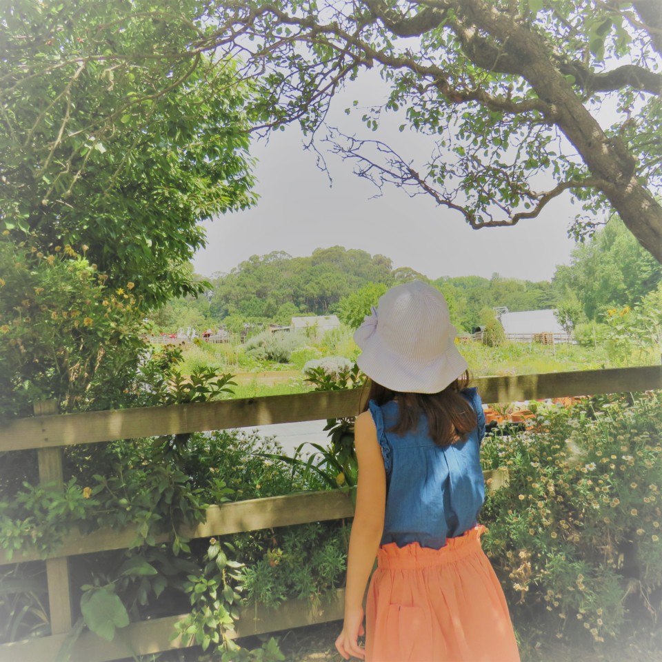 IMG_4491.jpg IMG_4491.jpg