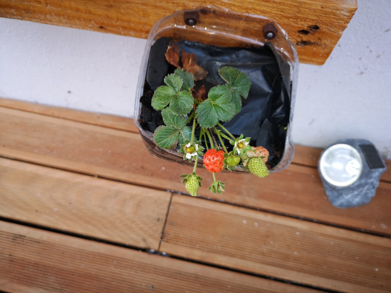 IMG_20190328_080512.jpg IMG_20190328_080512.jpg