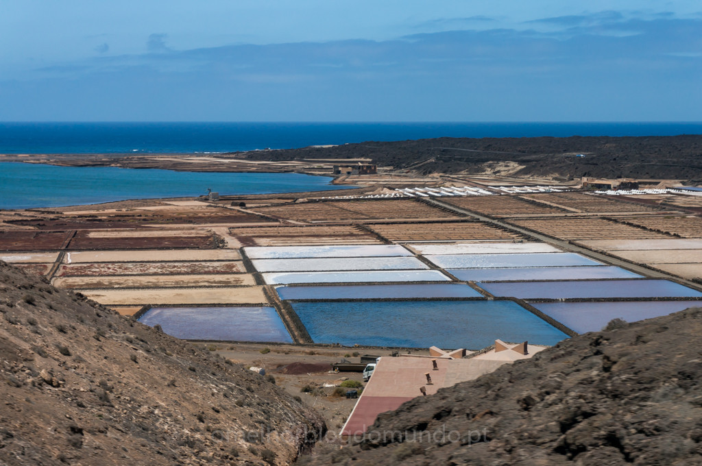 _DSC7485.jpg _DSC7485.jpg