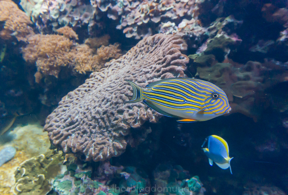 DSC00282.jpg DSC00282.jpg