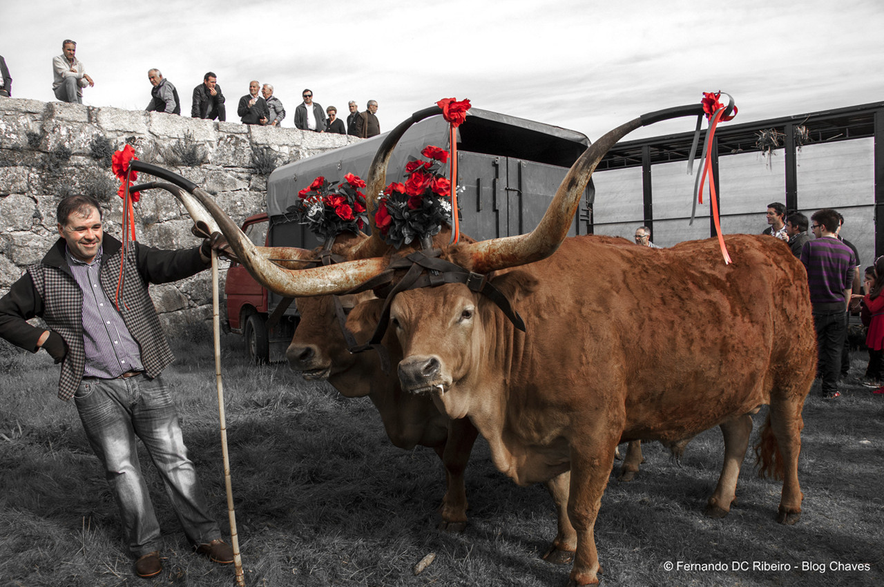 1600-santos-14 (32).jpg