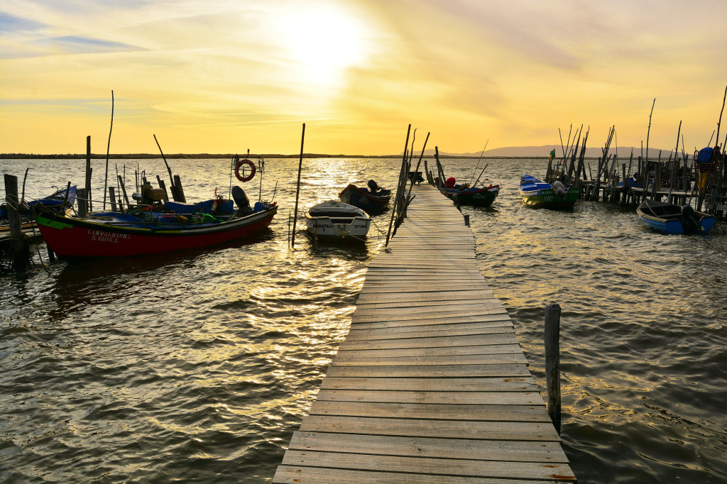 DSC_2929_01_00021.jpg DSC_2929_01_00021.jpg