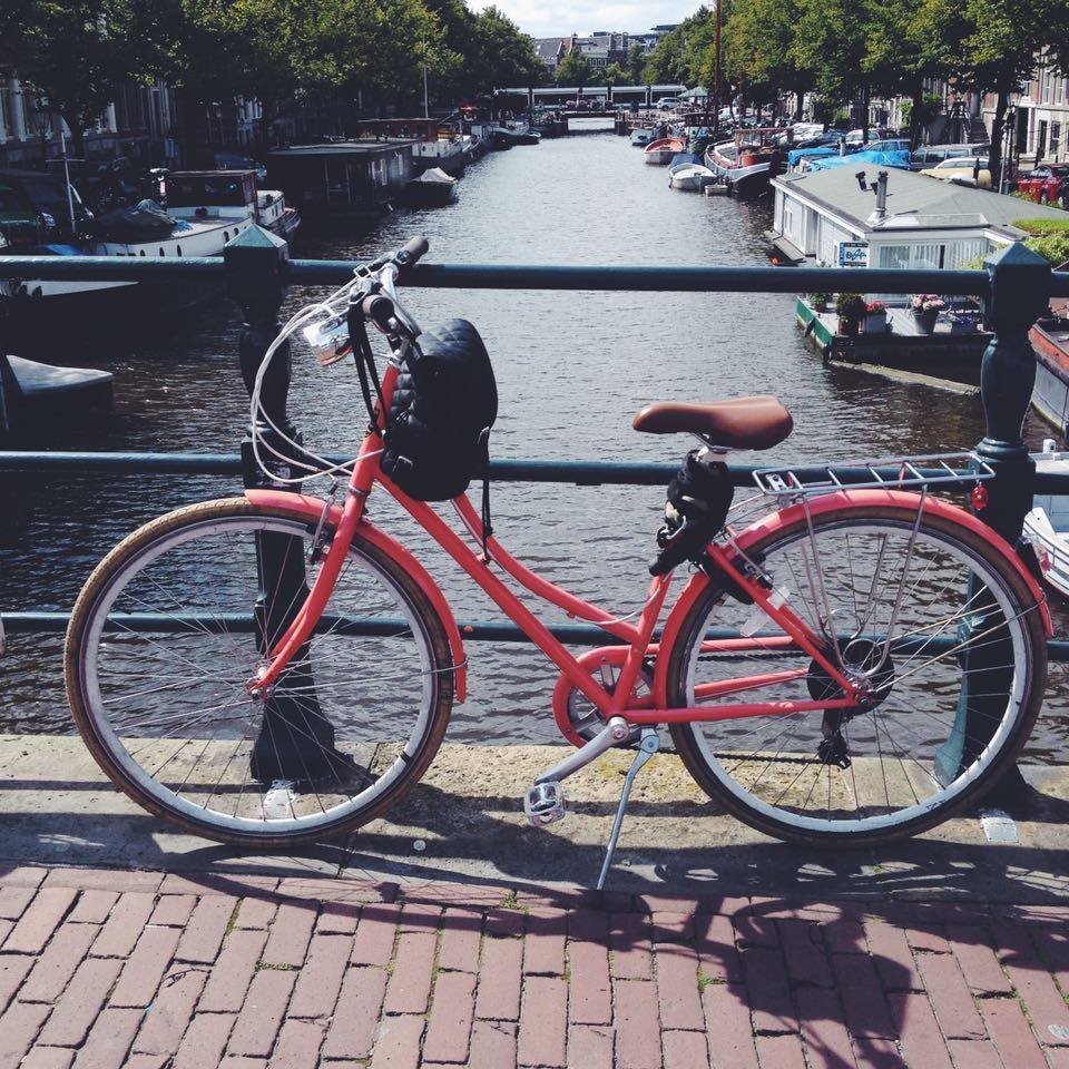 12270178_10204987056339188_1983977811_n.jpg 12270178_10204987056339188_1983977811_n.jpg