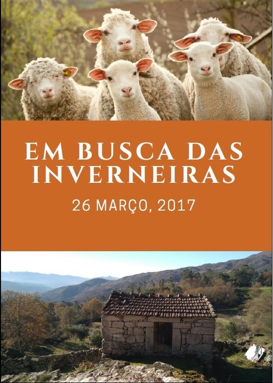trilho_em_busca_das_inverneiras.jpg