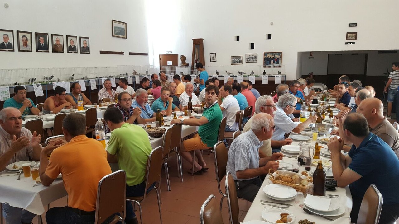 leilao pombos correio.jpg