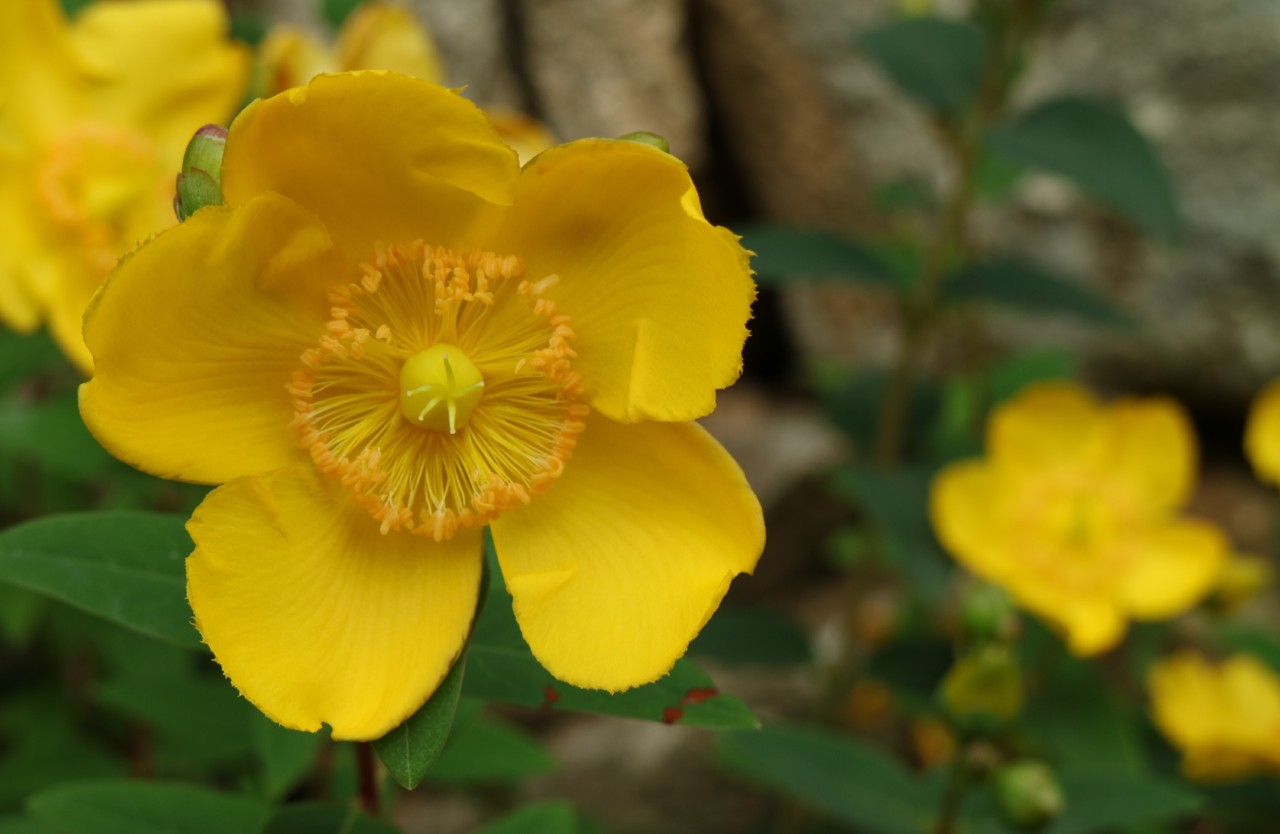 IMG_0230.jpg IMG_0230.jpg