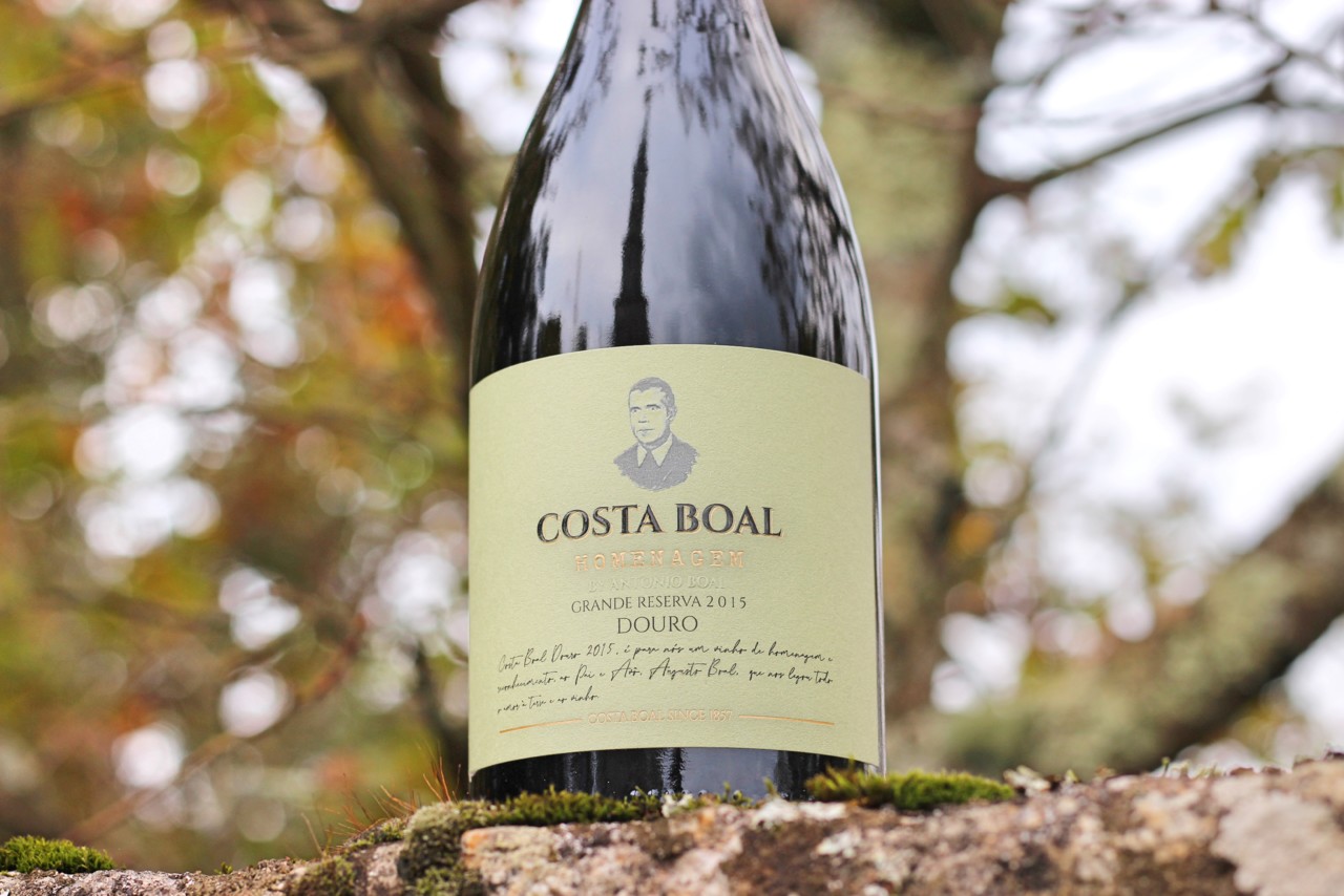 Novas colheitas Costa Boal