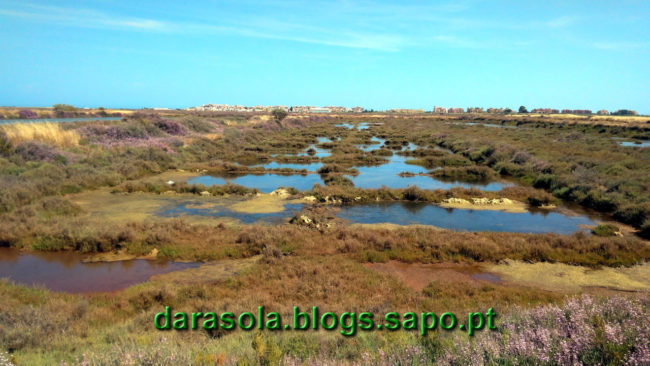 Maresmas_Isla_Canela_19.jpg Maresmas_Isla_Canela_19.jpg