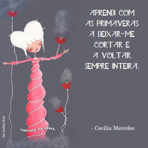 aprendi com as primavereas.jpg