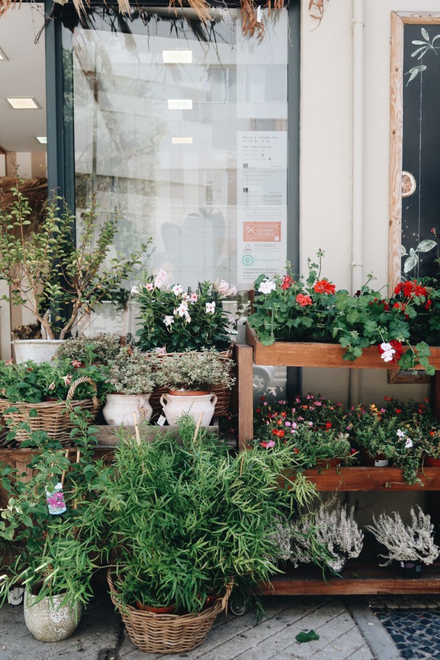 28120644-9254-420B-96C7-83E7932005E0-472A5224-7030